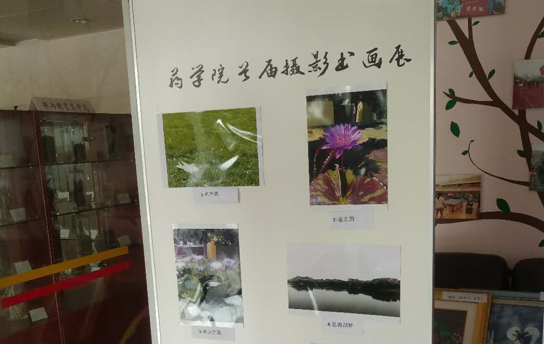 加拿大pc28开奖