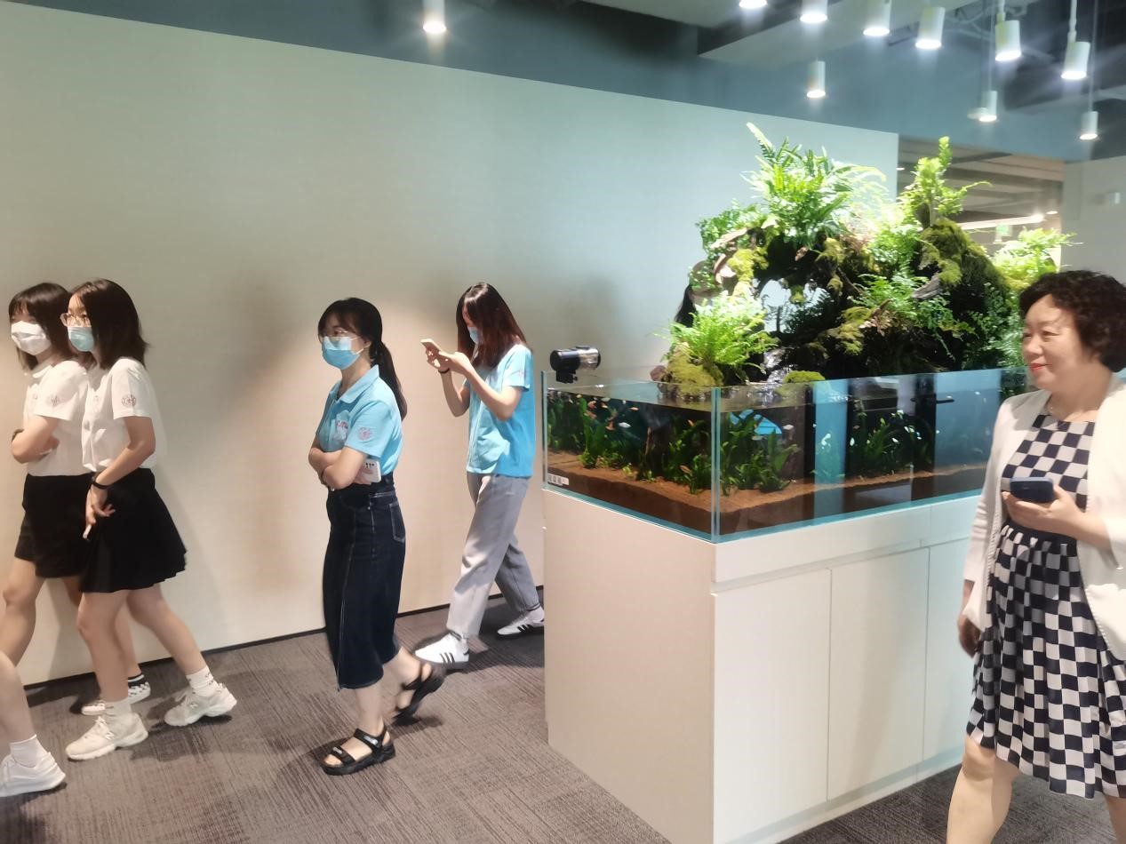 加拿大pc28开奖