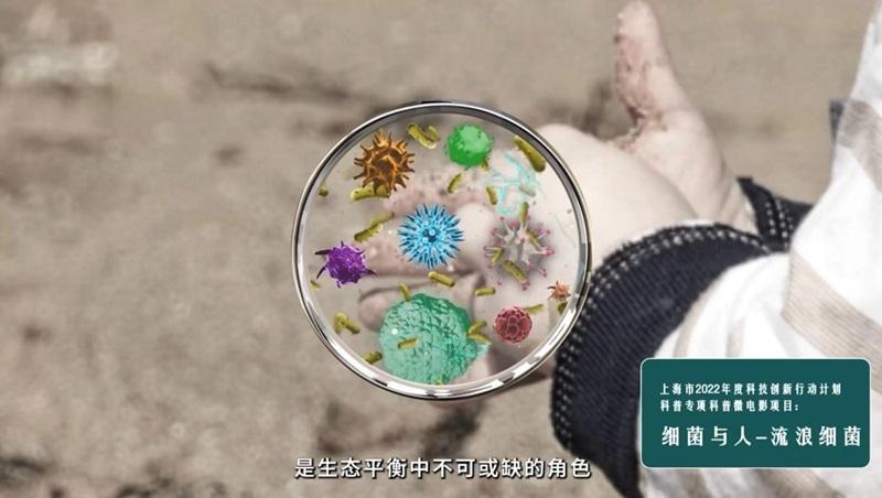 加拿大pc28开奖